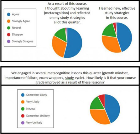 Metacognition survey results