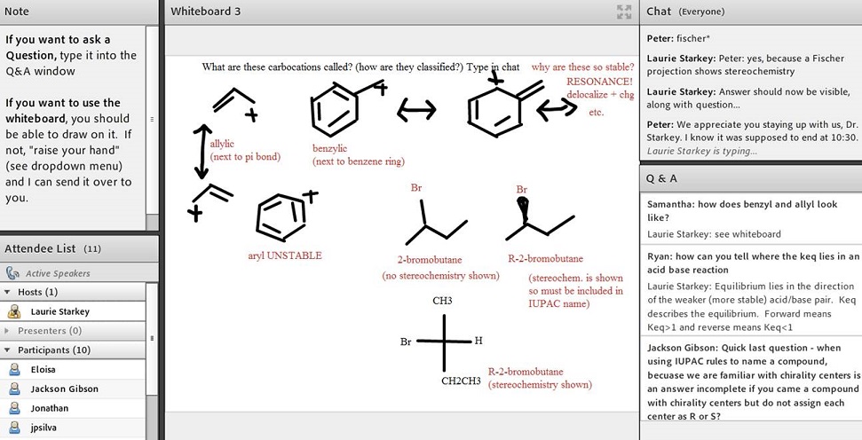 Screen capture of virtual office hours