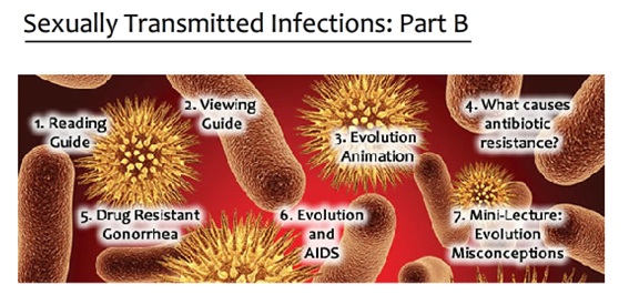 image with clickable links to the various content items for the course