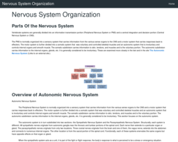 Nervous System Organization