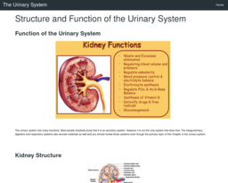 The Urinary System