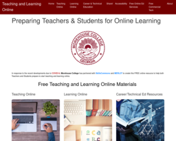 Teaching and Learning Online