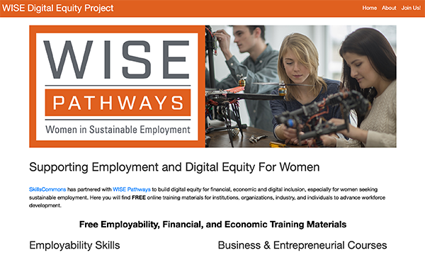 Employment Equity:  Women in Sustainable Employment (WISE) Pathways