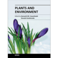 Plants and Environment