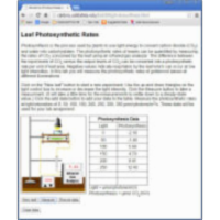 Leaf Photosynthesis Applet icon