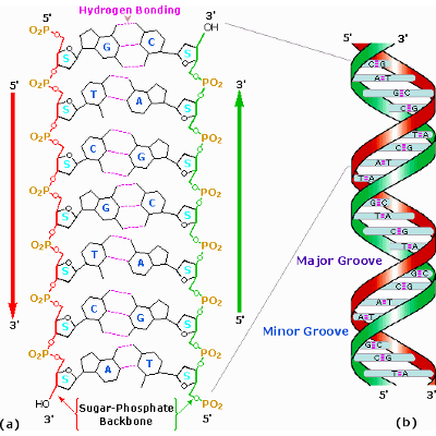 Natural Product Chemistry icon