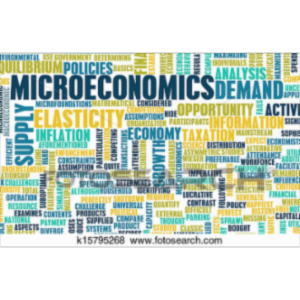 Microeconomics Principles