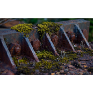 Towards a Critical Approach to Faculty Development icon