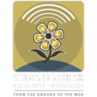 Soil Formation and Soil Processes