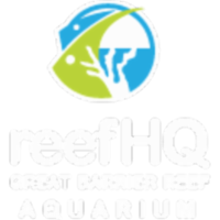 Great Barrier Reef Aquarium icon