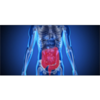 Phenotyping and Genotyping Characterization of Proteus vulgaris After Biofield Treatment icon