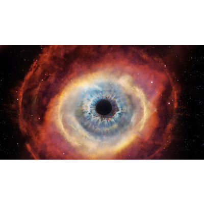 Inside or Outside the Whale: George Orwell's Art and Polemic icon