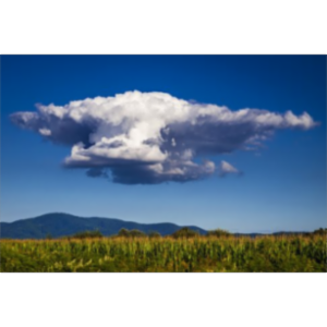 Home | International Cloud Atlas