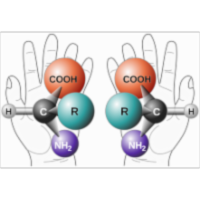 Organic Chemistry I icon