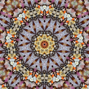 Beginning / Elementary Algebra icon