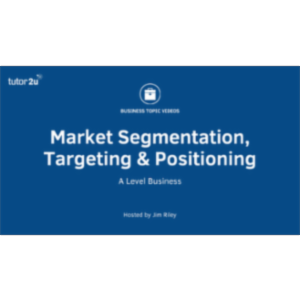 Marketing: Segmentation - Targeting - Positioning icon