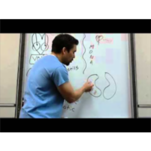 CHF drugs vs. MI (heart attack) drugs *Part 1*