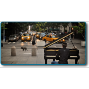 PSY05 - Psychology - Sensation and Perception icon