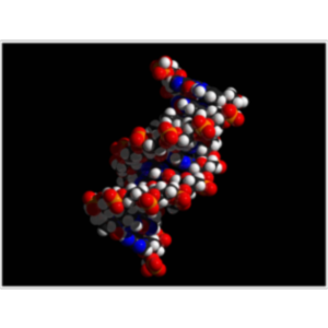 AP02 - Anatomy Physiology - The Chemical Level of Organization icon