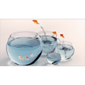 Workplace Psychology icon