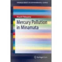 Mercury Pollution in Minamata | SpringerLink icon