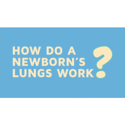 How Do A Newborns Lungs Work?