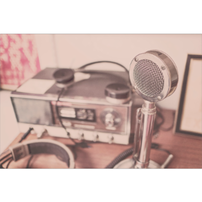 Principles of Public Speaking | icon