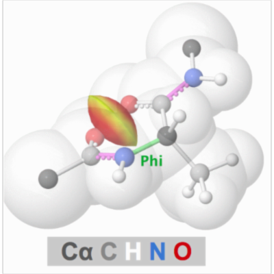 Video: Ramachandran Principle, Protein Atomic Clashes vs. Phi & Psi icon