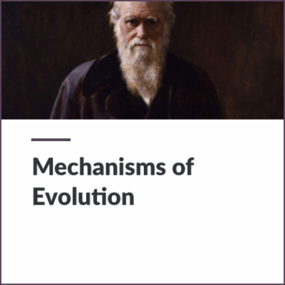 Digital Lesson - Mechanisms of Evolution | Blending Education icon