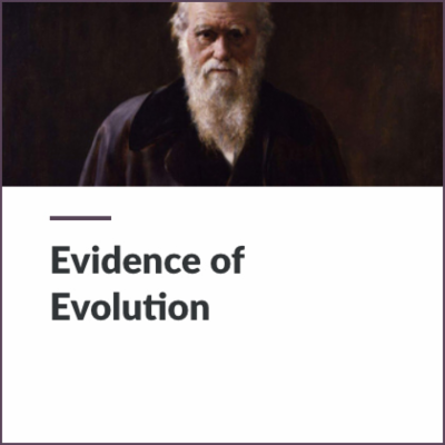 Digital Lesson - Evidence of Evolution | Blending Education icon