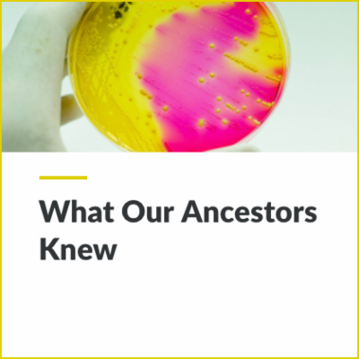 Digital Lesson - What Our Ancestors Knew | Blending Education