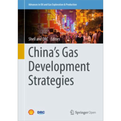 China’s Gas Development Strategies | SpringerLink