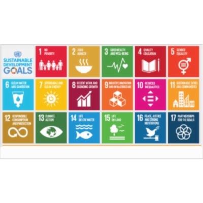 Sustainable development goals - United Nations icon