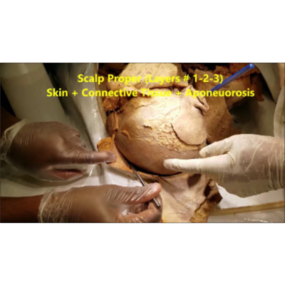Scalp Layers and Neurovascular Demonstration - Special Reference to Common Ailments – Sanjoy Sanyal icon