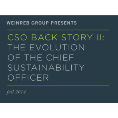 CSO BACK STORY II: THE EVOLUTION OF THE CHIEF SUSTAINABILITY OFFICER icon
