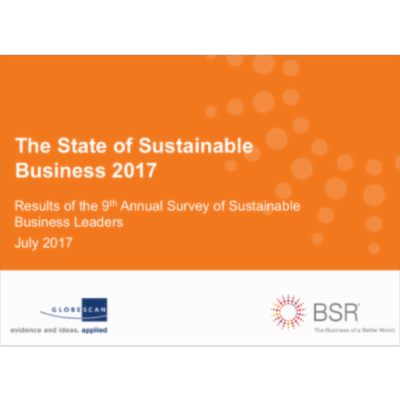 The State of Sustainable Business 2017 icon