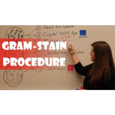 Gram Stain Procedure (Video) icon