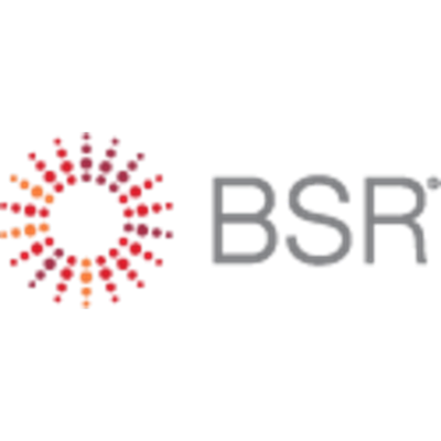 BSR™ (Business for Social Responsibility™) icon