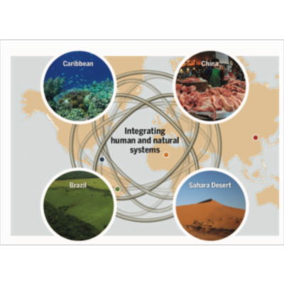 Systems integration for global sustainability icon