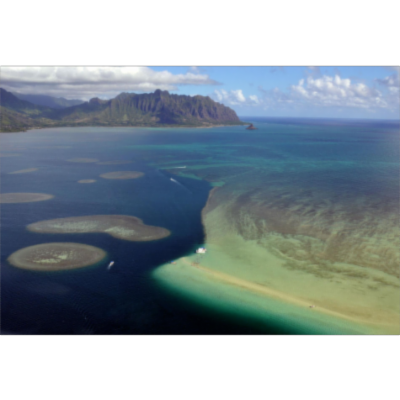 Hawaii Enlists Urchins to Help Corals Resist Algae Invasion icon