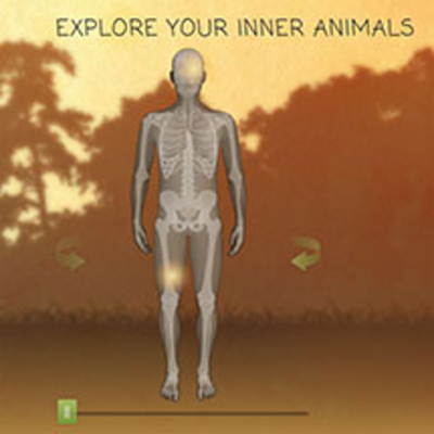 Explore Your Inner Animals | HHMI BioInteractive icon