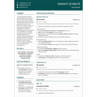 Resume Format: PDF and Word Download icon