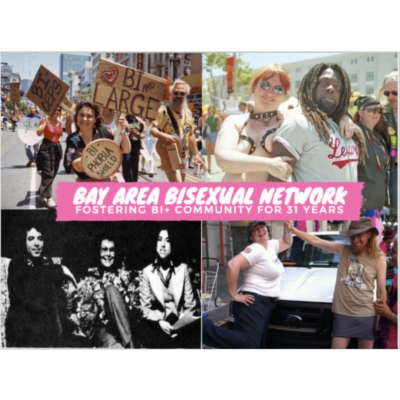 Bay Area Bisexual Network icon