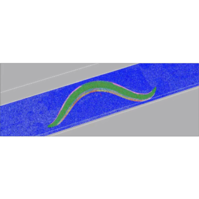 OpenWorm; World's First Digital Virtual Organism icon