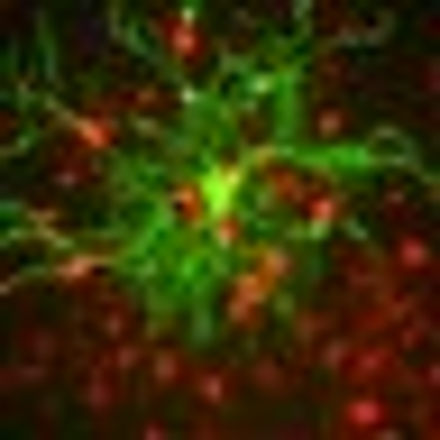 Neuroscientifically Challenged icon