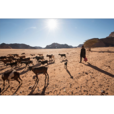 Redrawing the Map: How the World’s Climate Zones Are Shifting icon