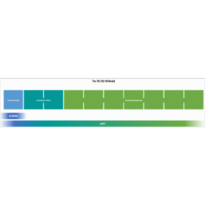 Life and Learning in a Post-SCORM World icon