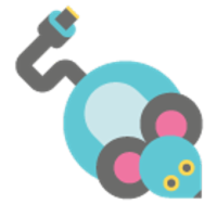 Computer Skills for Kids