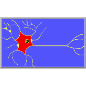 Model Neurons and Fast-Slow Systems icon