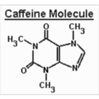 The Many Effects of Caffeine icon